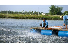 NGUYÊN TẮC SỬ DỤNG THUỐC, HÓA CHẤT TRONG NUÔI TRỒNG THỦY SẢN