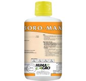 BORON MAX